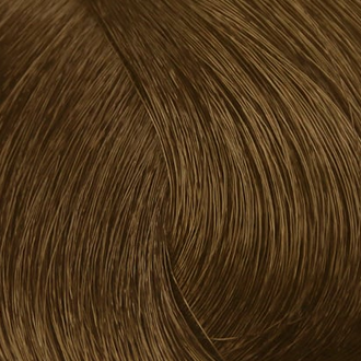 Стойкая профессиональная краска для волос - Goldwell Topchic Hair Color Coloration 8B (Морской песок)